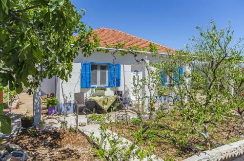 House Lavanda