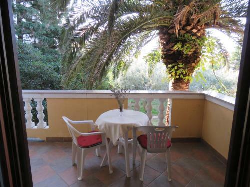Hostal Apartments Palma Novalja