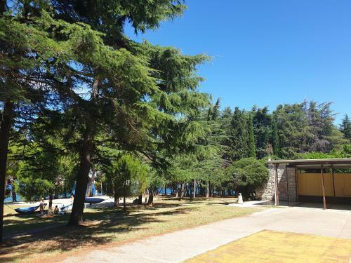 Youth Hostel Pinesta