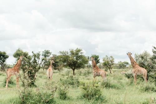 Hotel Monate Game Lodge