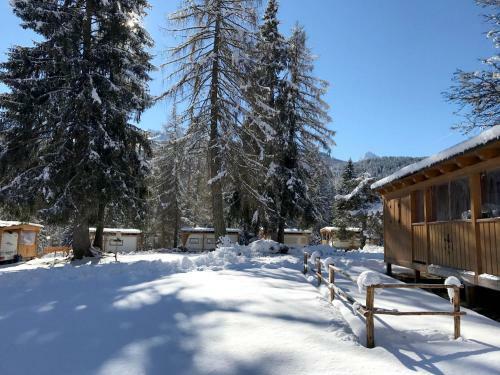 Fiemme Village