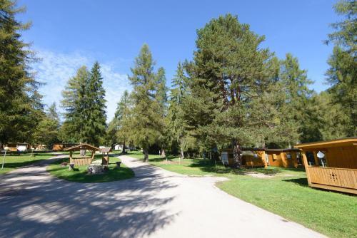 Fiemme Village