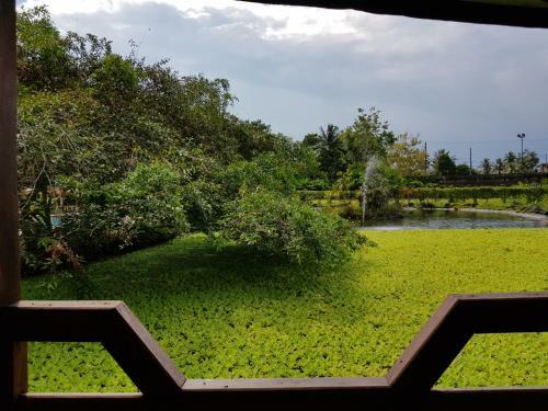 Gran Hotel de Lago - El Coca