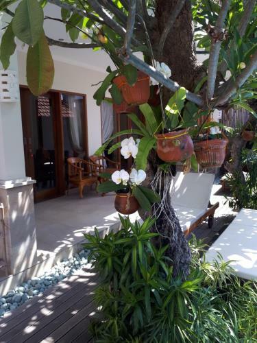 Hotel Amed Sunset Beach