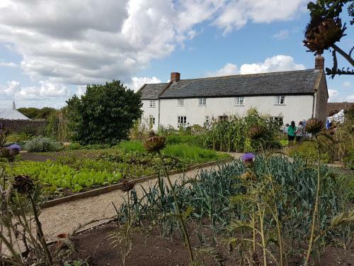 Lyme Tree House Bed And Breakfast