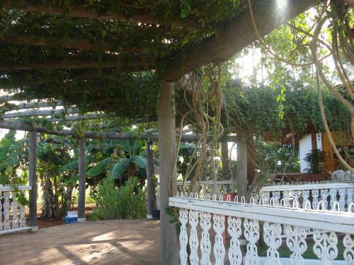 Hotel Da Lagoa