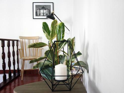 Bed & Breakfast Foral Guest House - �bidos