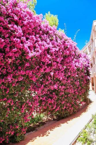 Apartamento Uhc Arco Del Sol Family Complex