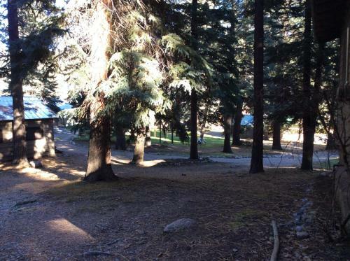 Bear Paw Lodge