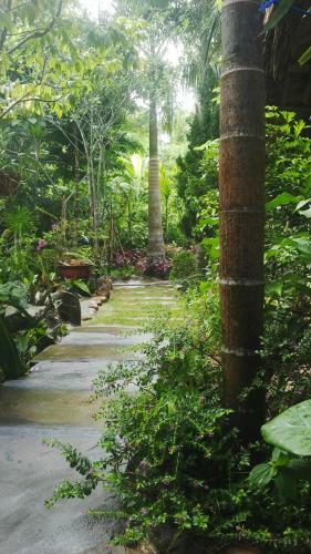 Vu Homestay