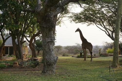 Kum Kula Lodge