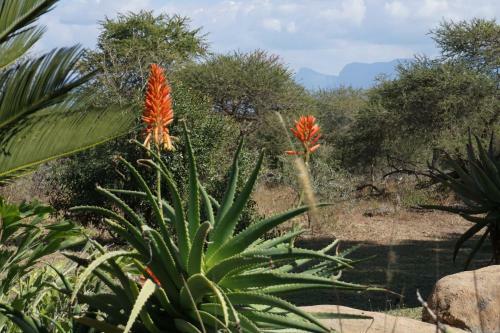 Kum Kula Lodge