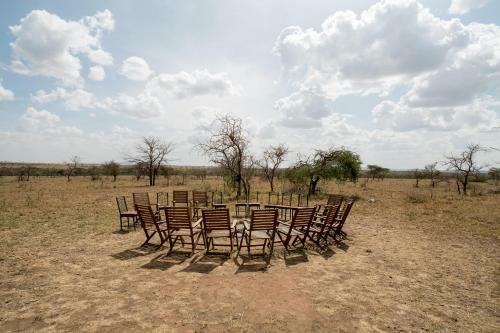Serengeti Wild Camp