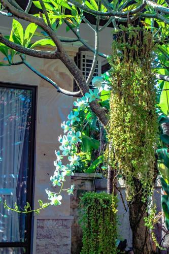 Hostal Villa Impian