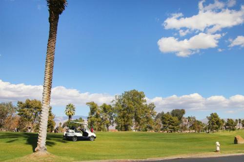 Fairway Greens