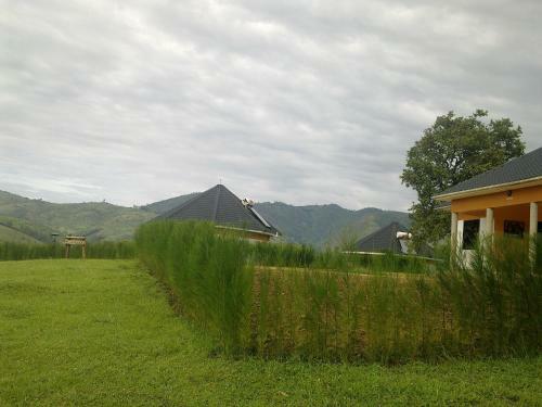 The Crested Crane Bwindi Hotel