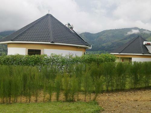The Crested Crane Bwindi Hotel
