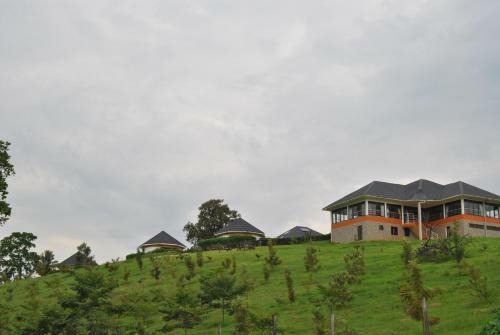The Crested Crane Bwindi Hotel