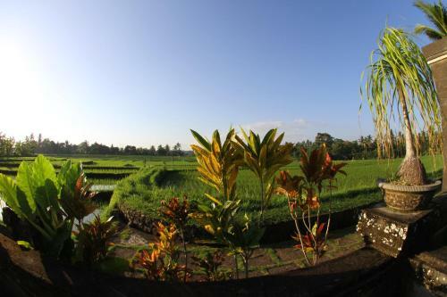 Villa Gede Batulumbang