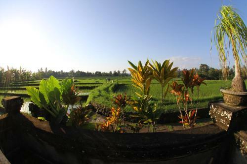 Villa Gede Batulumbang