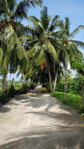 Hostal Athiriveli