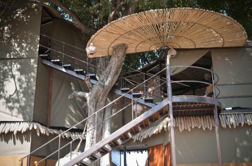Lodge Jackalberry Tented Camp