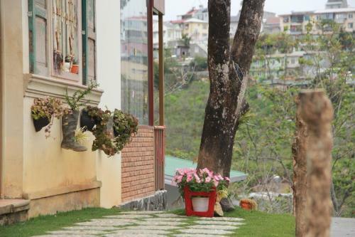 Lodge Books Homestay