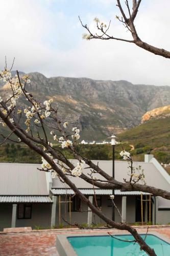 Apartamento Mont Angelis