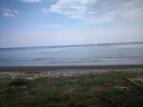 Sandy Beach House No.z2