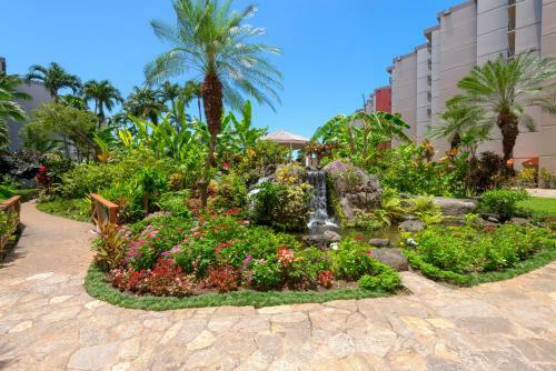 Apartamento Kaanapali Shores Studio #642