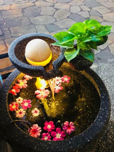 Posada Youngs Hotspring Hotel