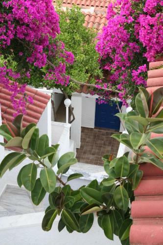 Hotel Elena