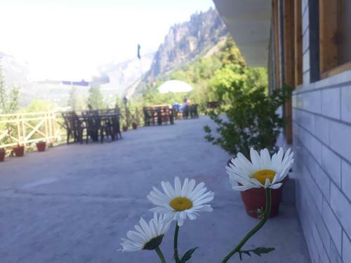 Bed & Breakfast God�s Land