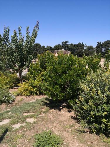 Apartamento Podere San Luigi