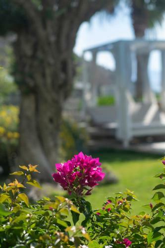 Villa Bodrum Infinity