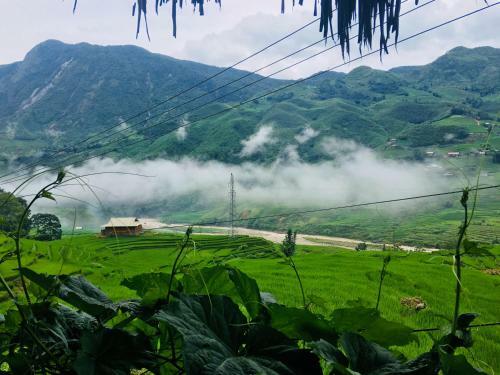 Hoa's Homestay Sapa