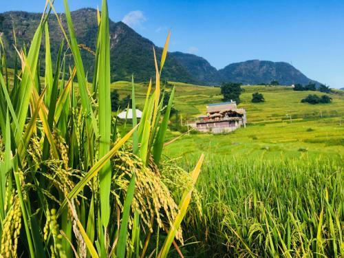 Hoa's Homestay Sapa