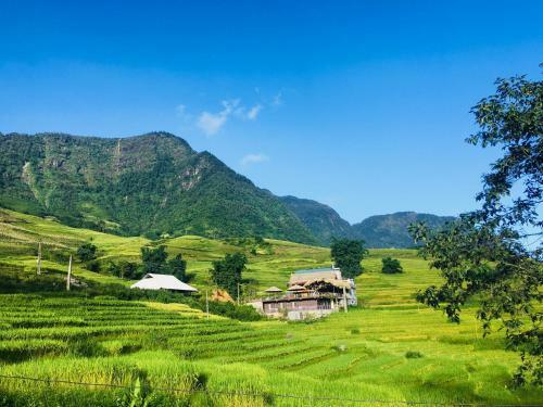 Hoa's Homestay Sapa
