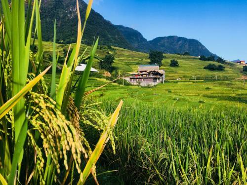 Hoa's Homestay Sapa