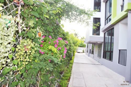 Apartamentos The Vert