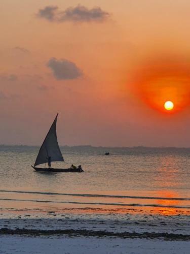 Bed & Breakfast Blue Palm Zanzibar