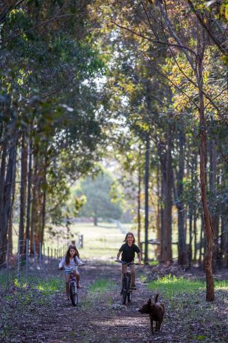 Agroturismo Redgate Forest Retreat