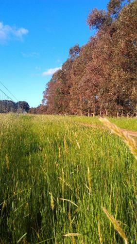 Agroturismo Redgate Forest Retreat