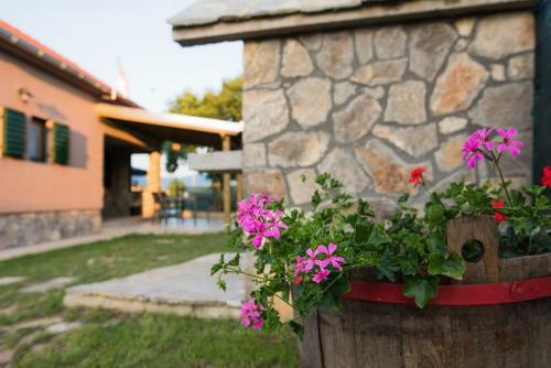 Villa G&p