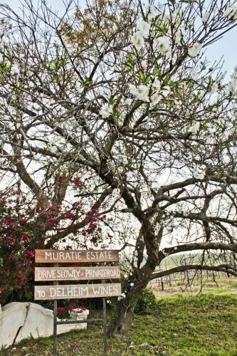 Hostal Muratie Gp Canitz Cottage