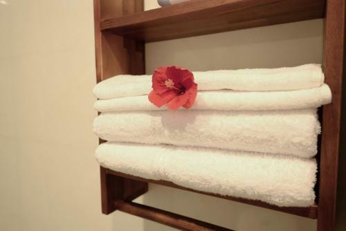 Hotel Cam Thanh Village Villas