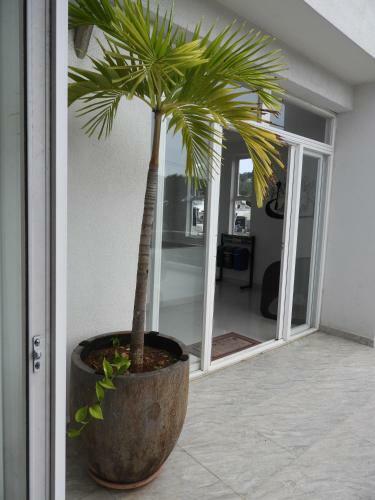 Lili House