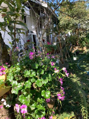 De Daisy Villa