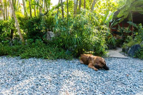 Bed & Breakfast Pasa