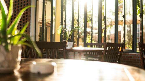 Albergue Haven Vietnam